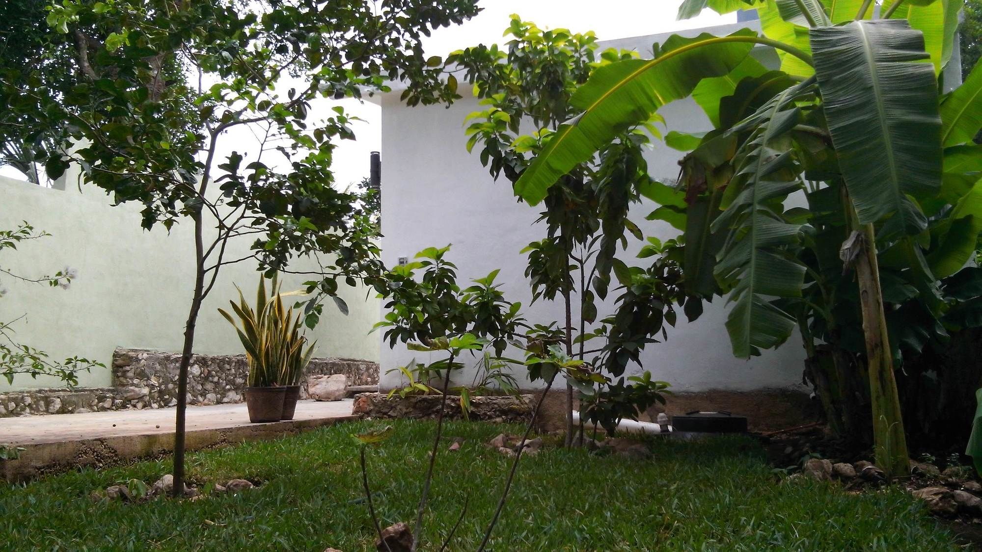 Casa Del Aire Hotel Merida Exterior photo